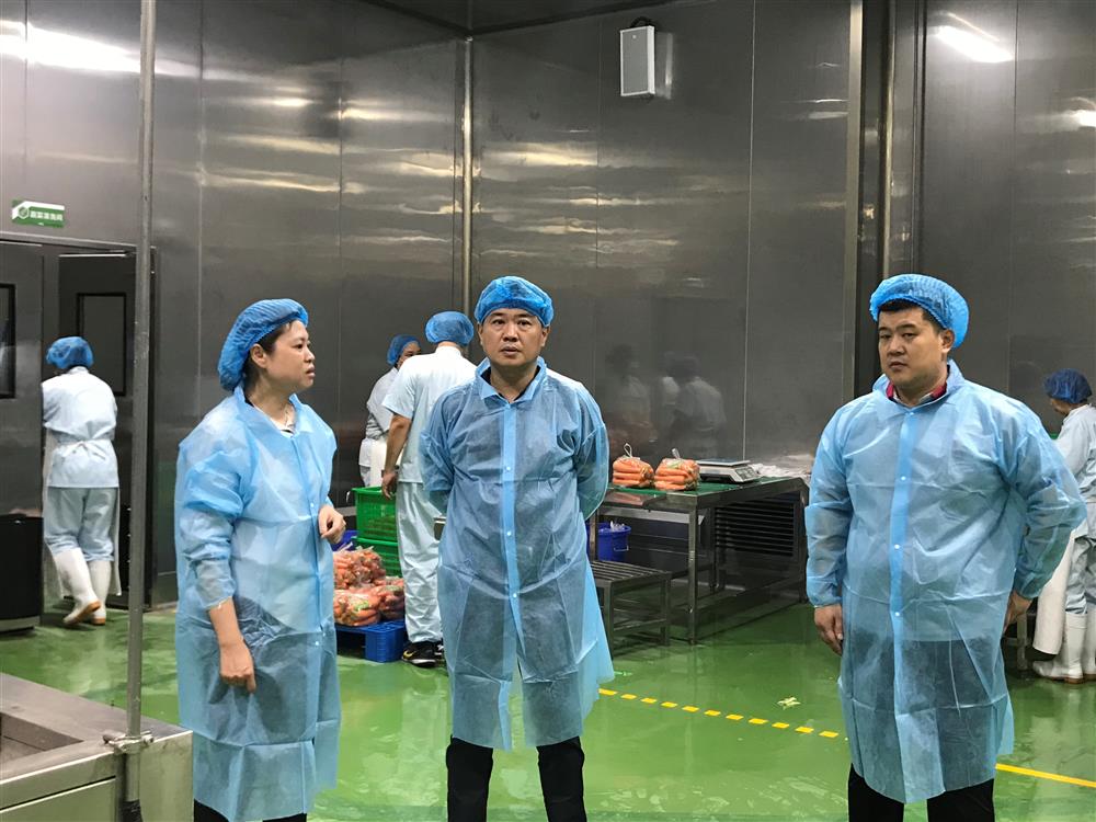 Lu Gang, Jinan Industry and Development 최신 최신 카지노 게임 게임의 징계 검사위원회 장관은 조사를 위해 Jindeli 최신 최신 카지노 게임 게임 Food Industrial Park에 갔다